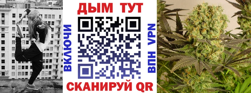 Каннабис индика Димитровград